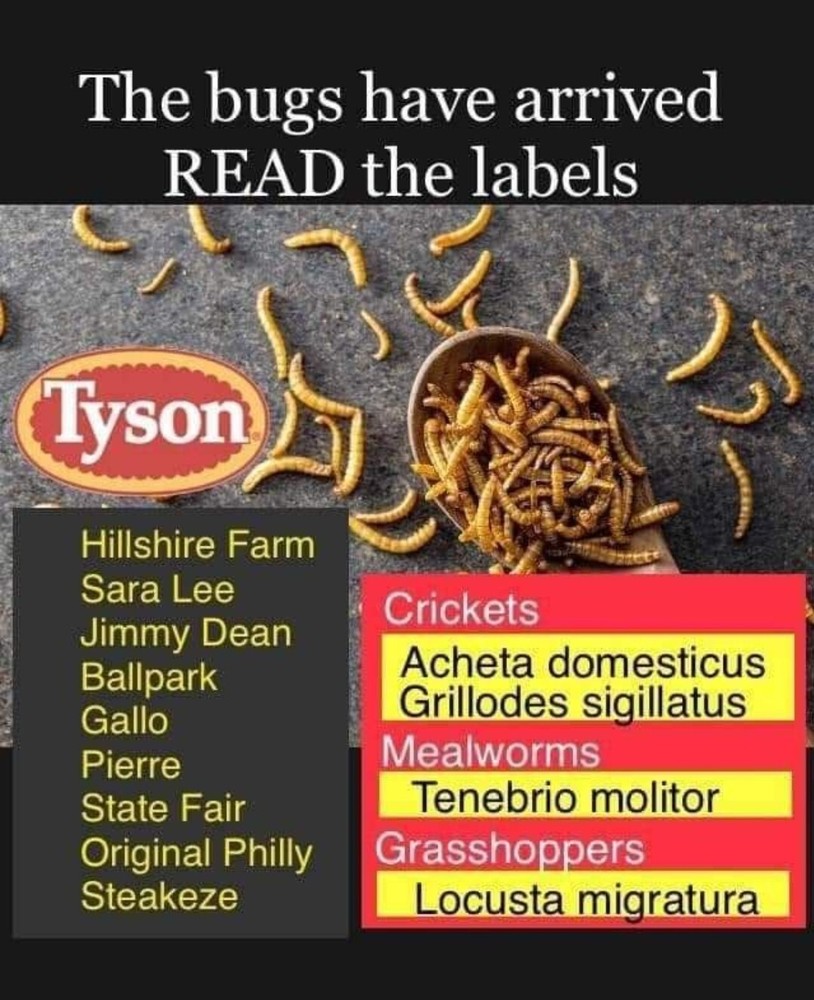 Anti-pedophilia Stickers (3)