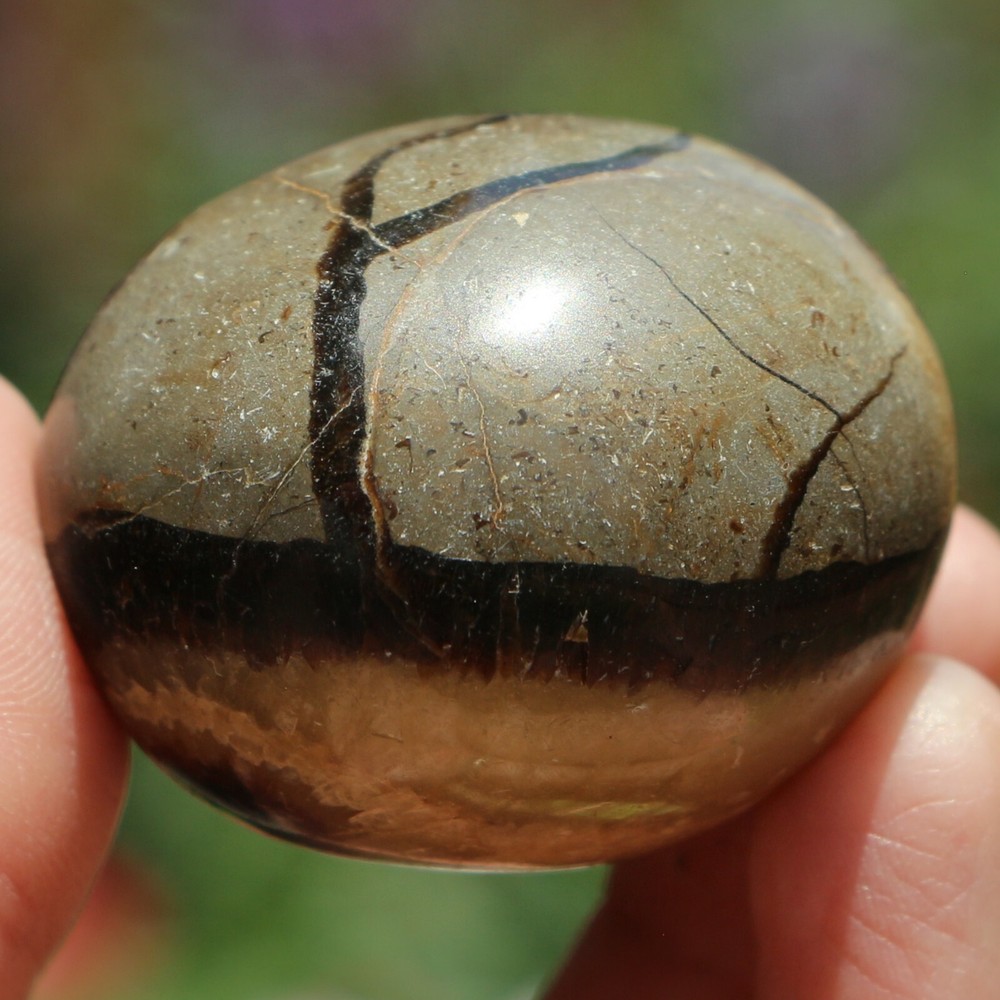 Polished Septarian Nodule (SEP98)