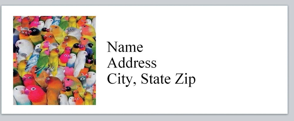 Personalized Address Labels Parrots Parrots Parrots  (bx 929)