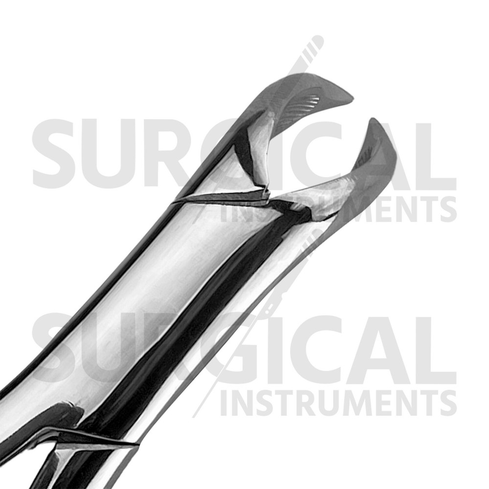 Extracting Forceps Dental Surgical Instruments #3FS German Grade