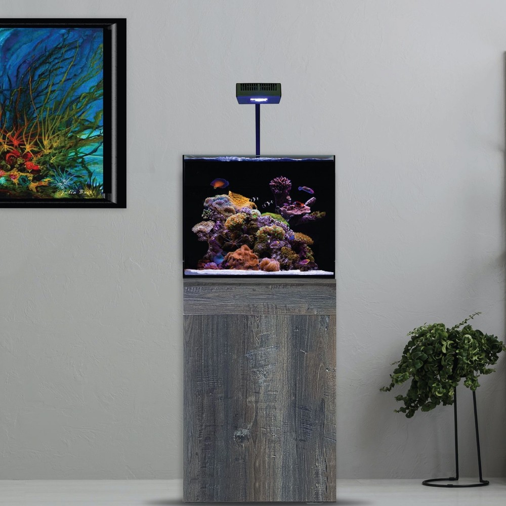 Current USA Orbit R24 Reef LED