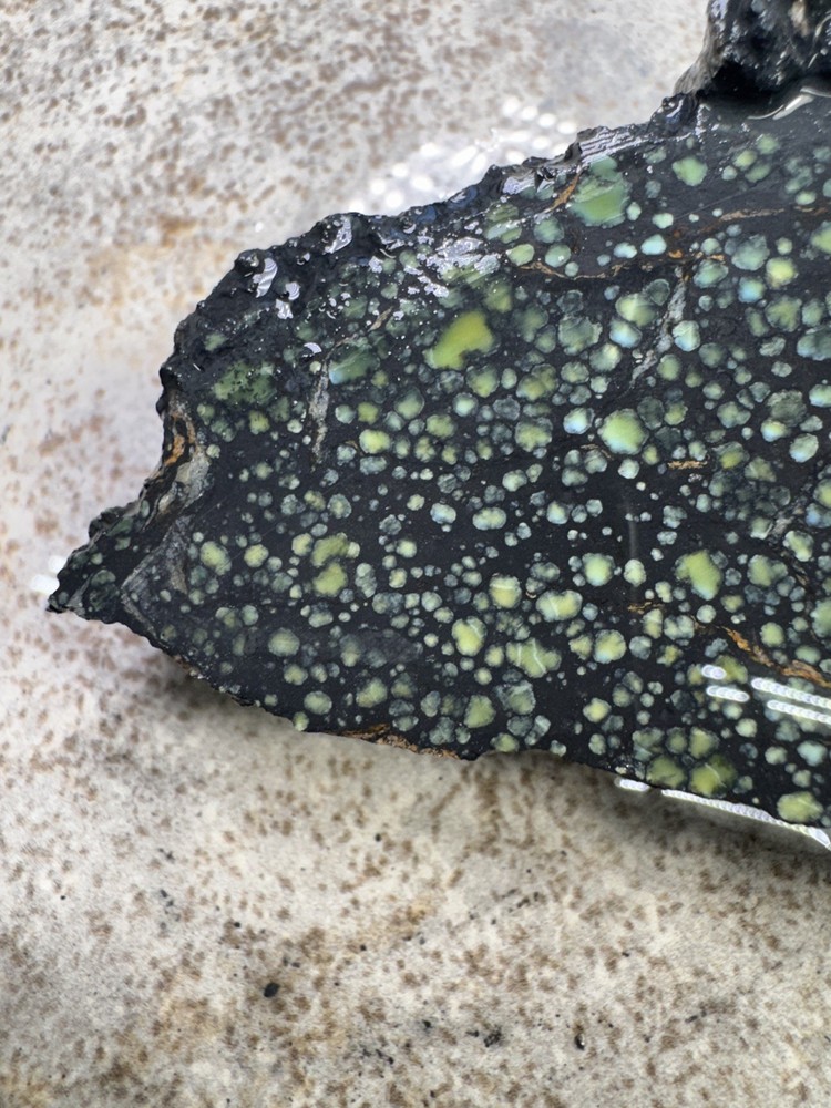 Natural Nevada Variscite rough star fox