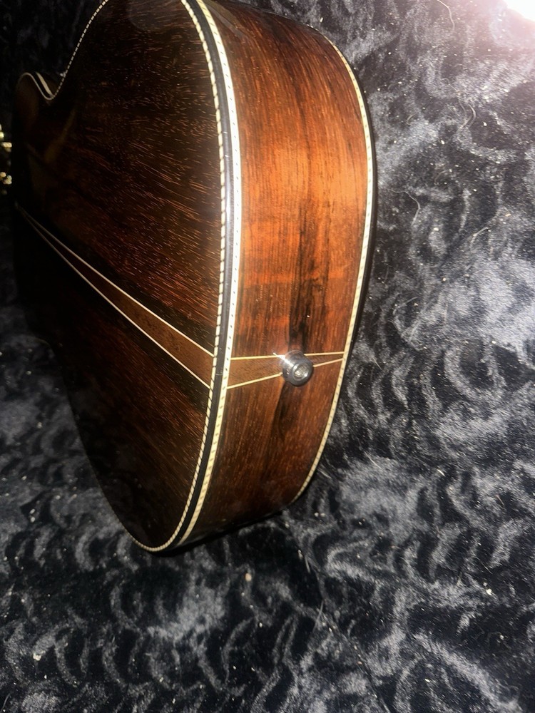 Washington Moretti 10 String Viola