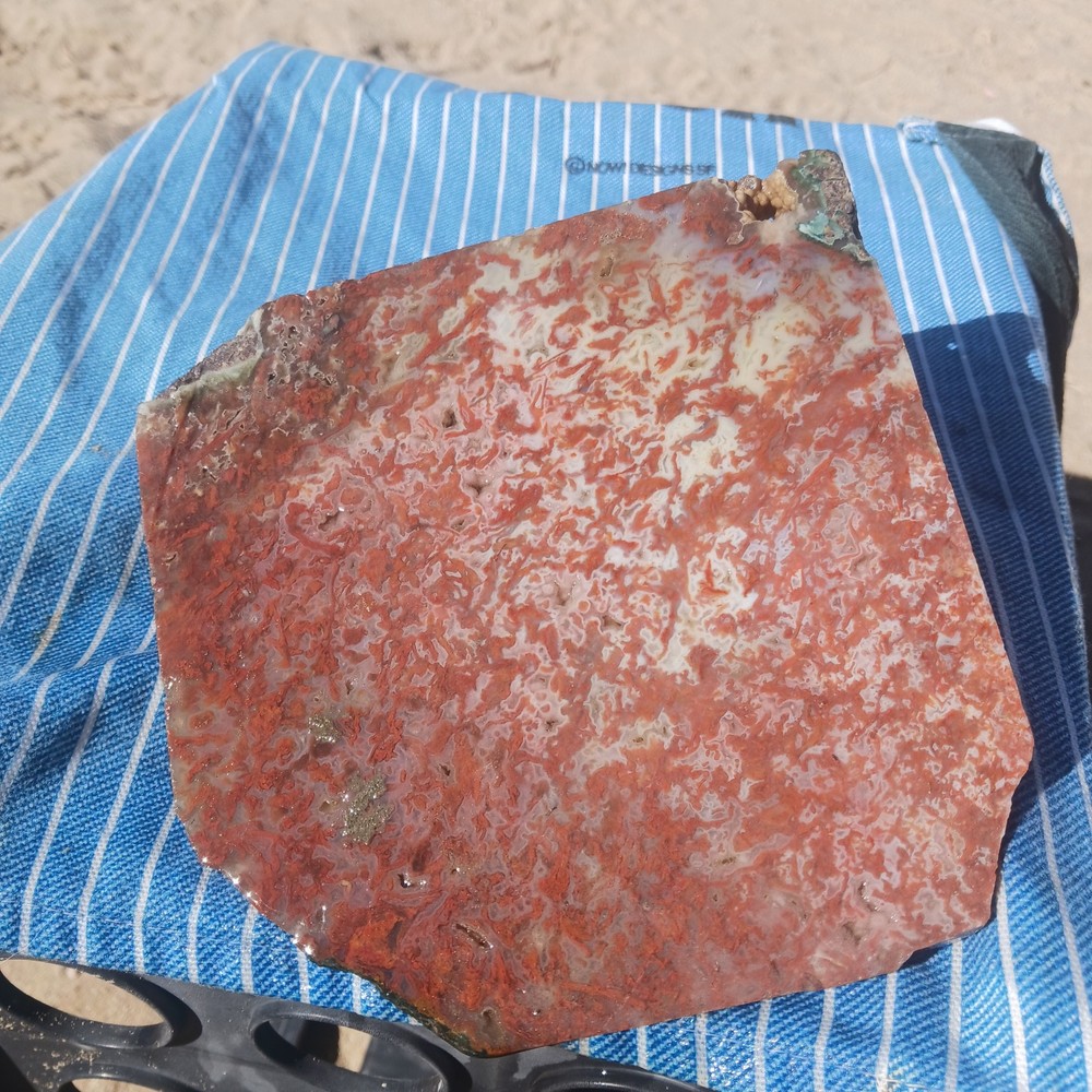 BIG Moss Agate Slab Ready For Lapidary