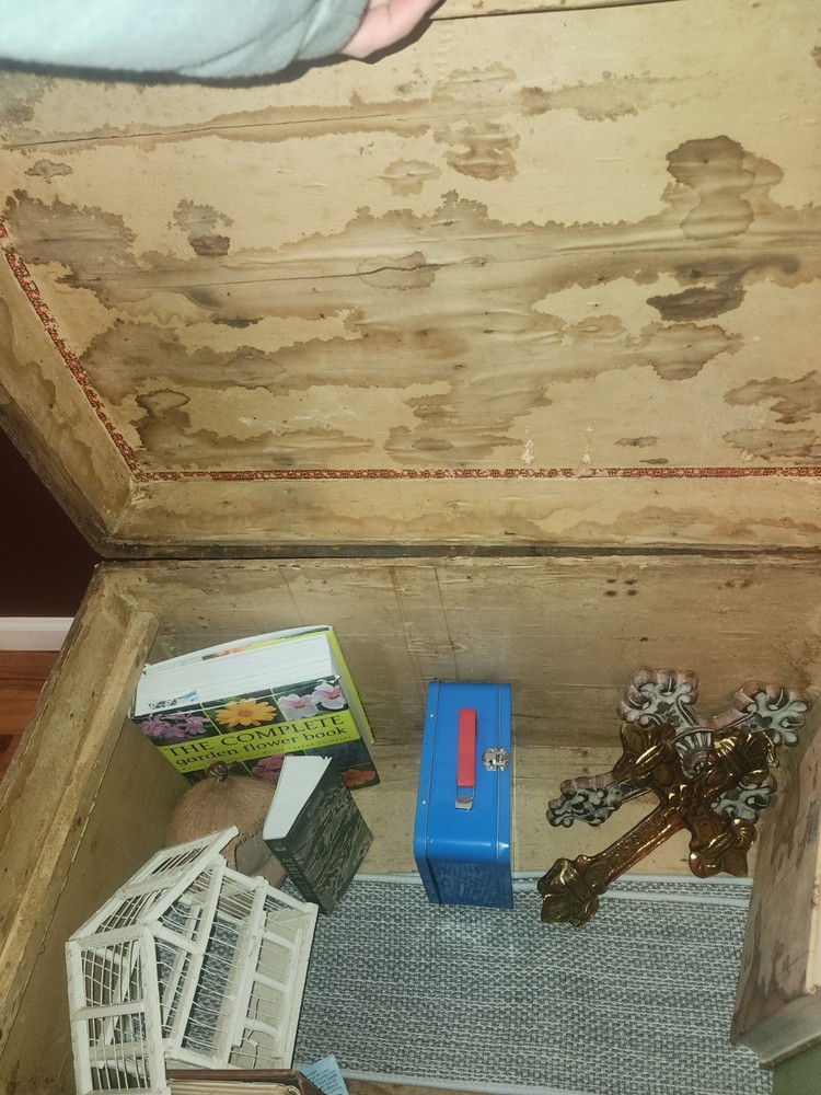 Antique Trunk Chest
