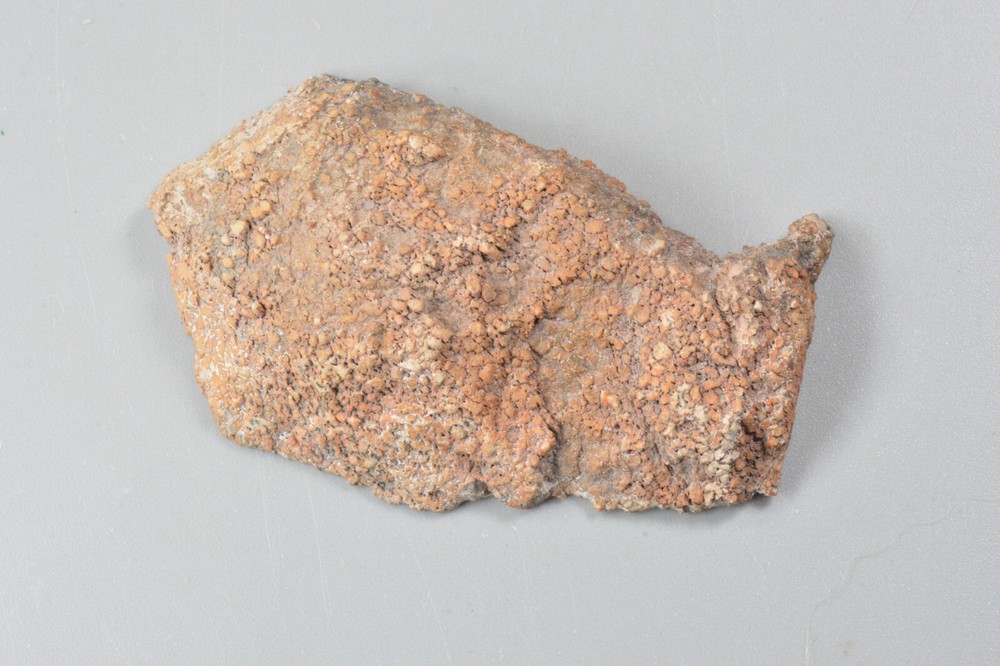 Yellow Agatized Dinosaur Bone, Utah, Polished, 3x1.7"