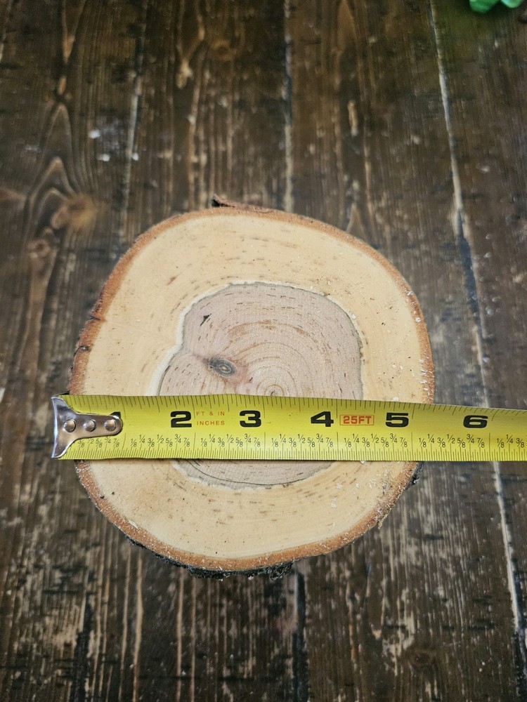 CHERRY Turning Crotch Log 9" Long c291