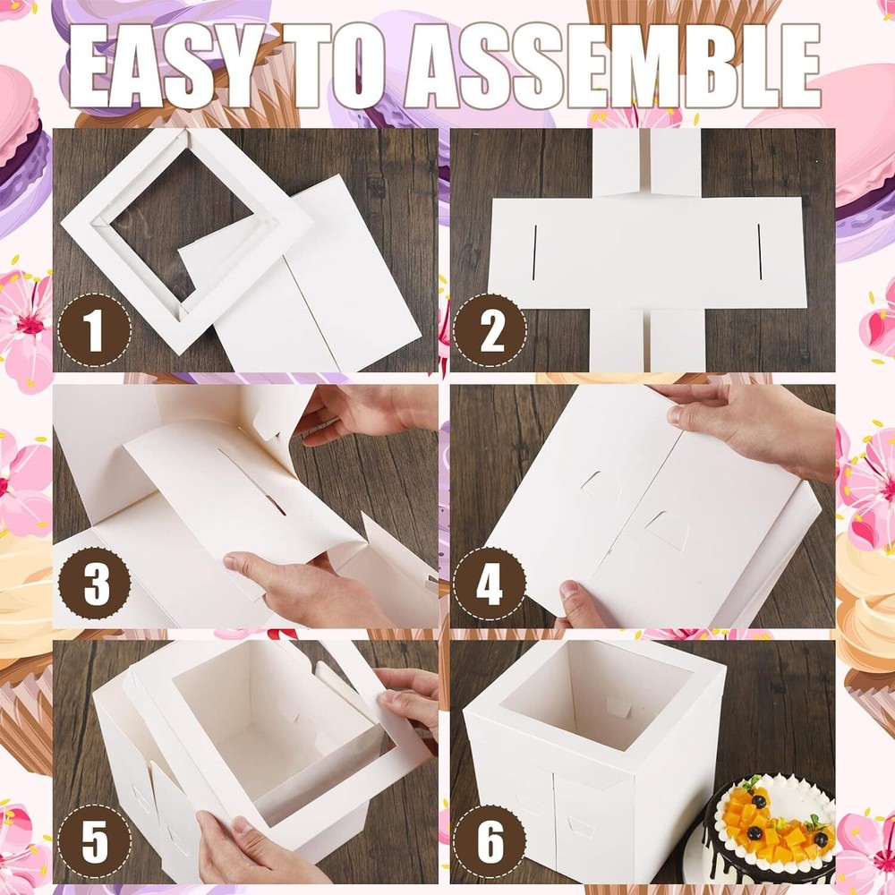 10 Pieces Cake Boxes Tall Box White Pie Deep with