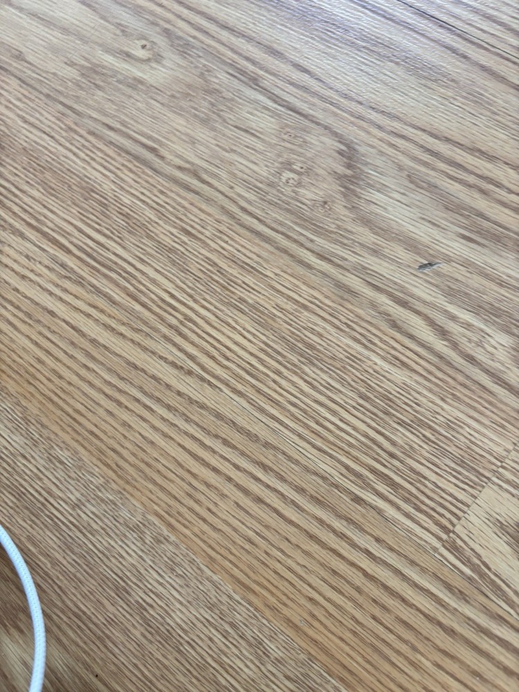 UNBRANDED BELT LOOP HOLSTER 121212B