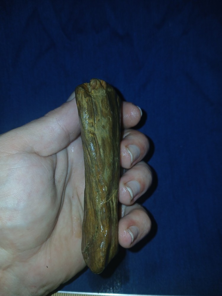 7.1 oz Petrified Wood