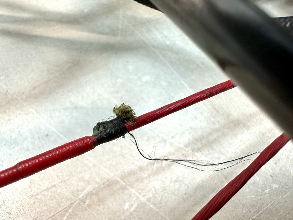 Compound Bow PSE Evolve