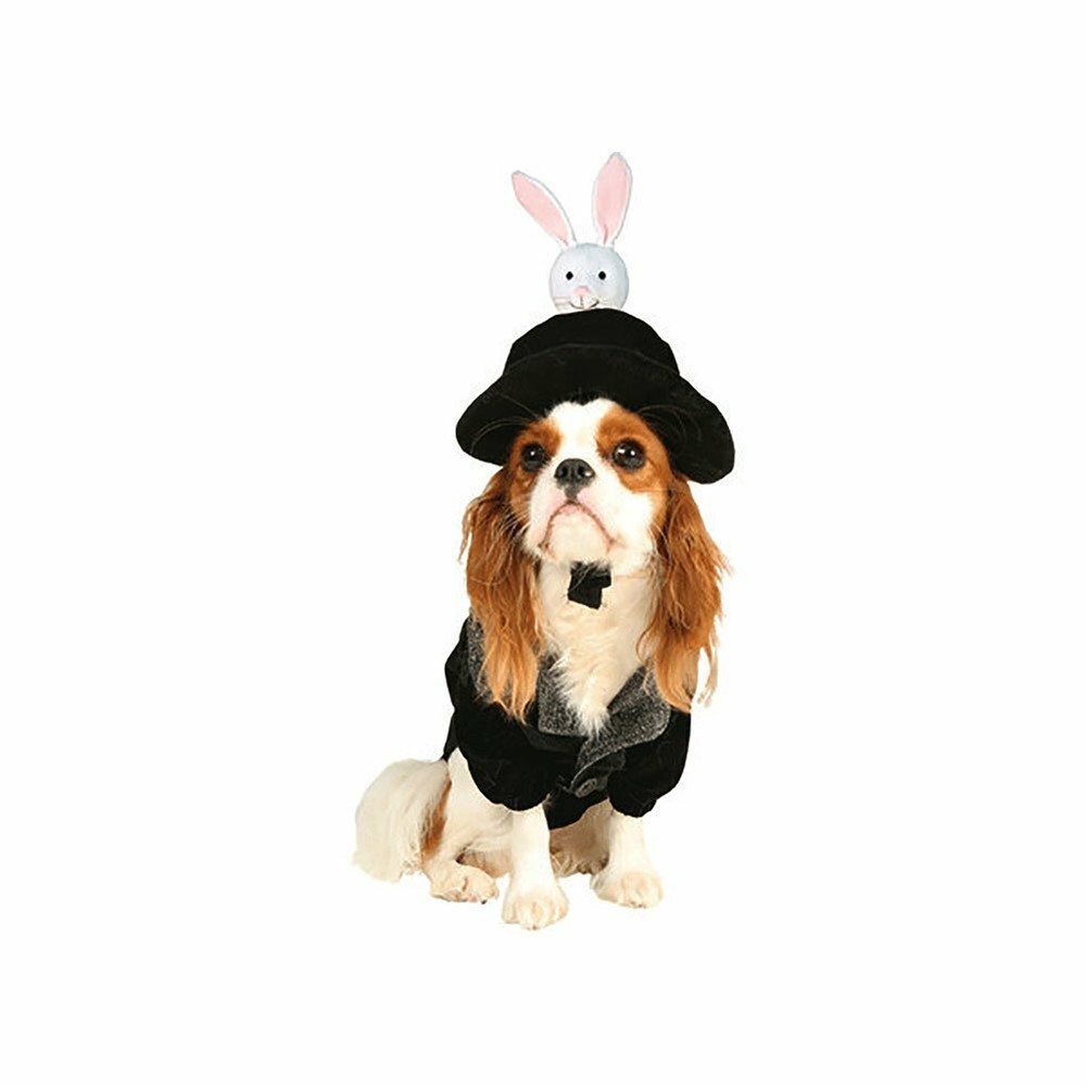 Hat Trick Magician Pet Costume Size Medium by Cinema Secrets