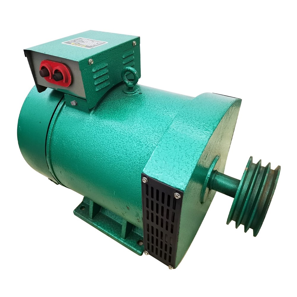 220V 1-Phase Driven Generator Brushed Generator Pure Copper Engine