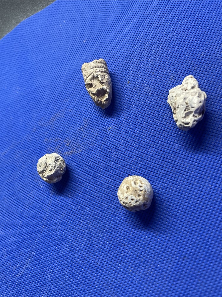 dug civil war relics