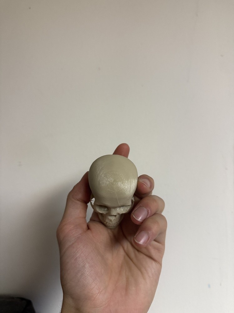 Mini Human Skull 💀 (Good Resolution) (Bone color, PLA plastic)
