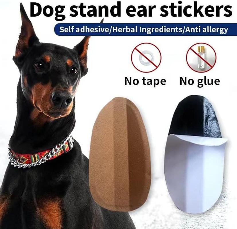 Dog Ear Stand Sticker up Support Tool, Dog Ear Fixed Correction Vertical Holder