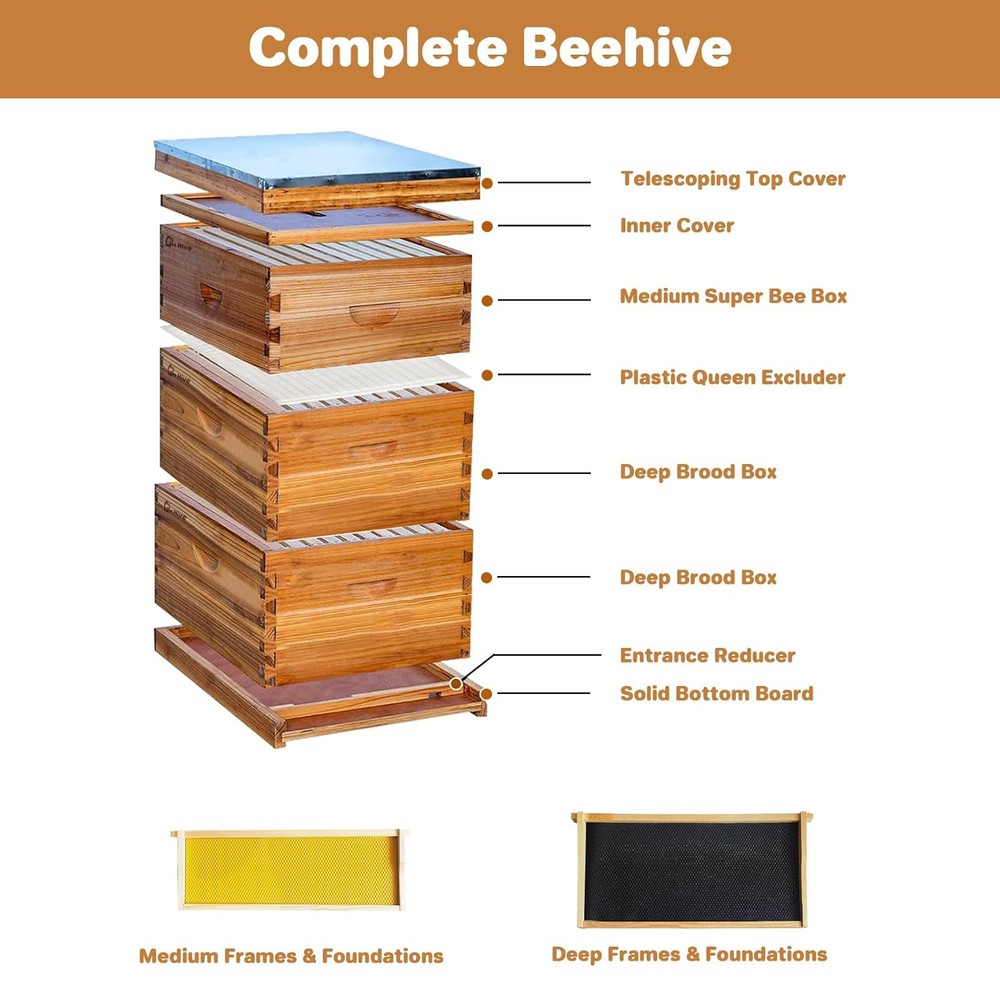 10-Frame Complete Beehive Frame Kit Wax Coated w/ 2 Deep Box 1 Medium Bee Box
