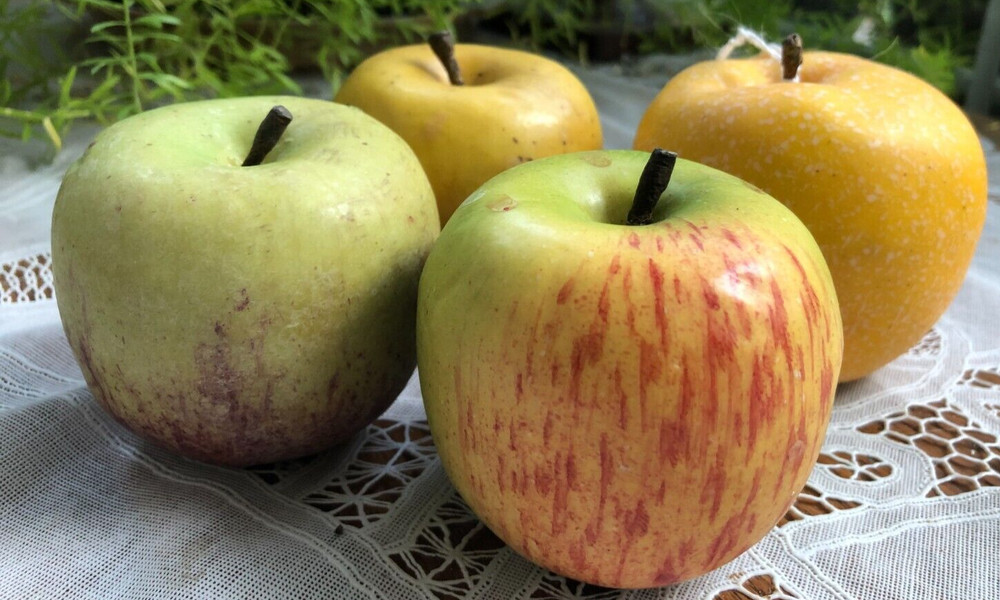 ASSORTED REALISTIC FAKE APPLES