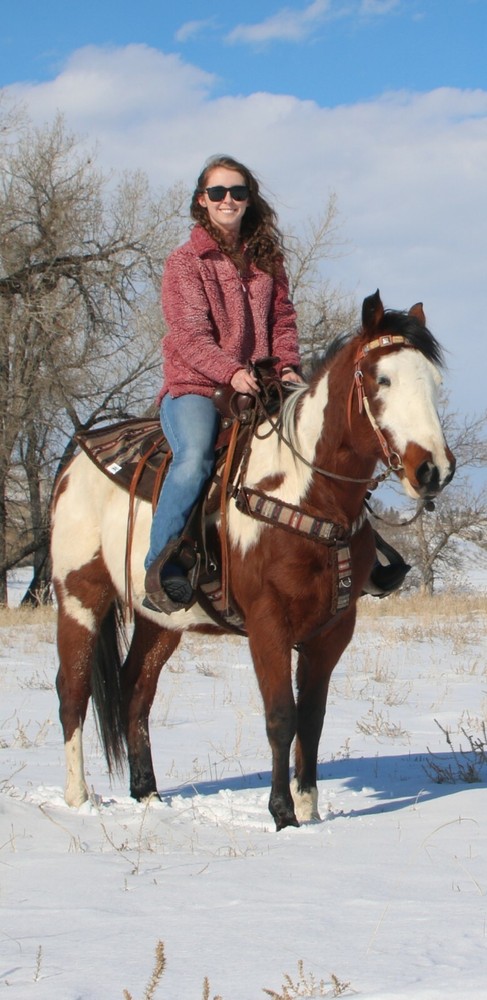 Rider's Choice Saddle Pad Set