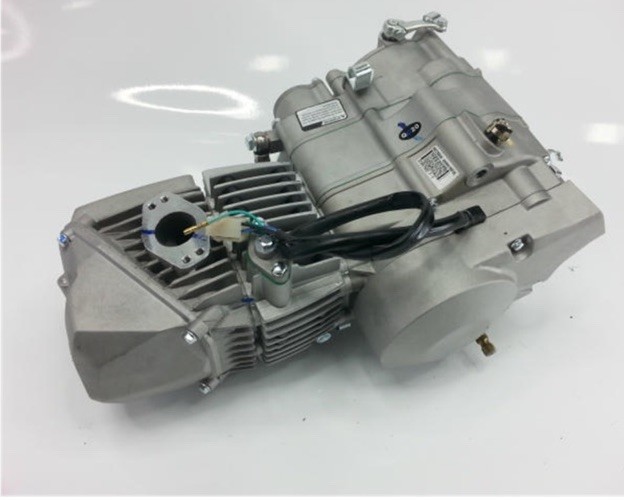 Daytona Anima 190cc Engine FS5 Model