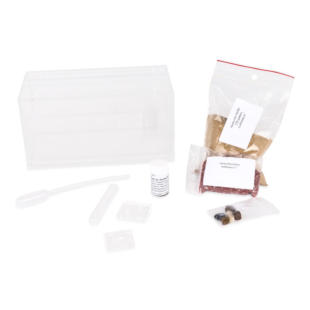 Sand Ant Farm(Anthill, Formicarium, Educational, Ants)