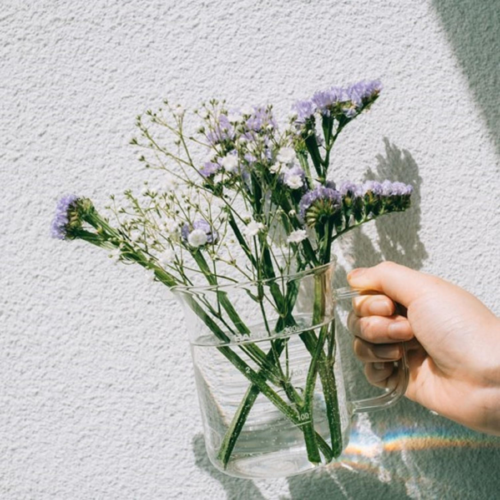 Beaker Server, 300Ml