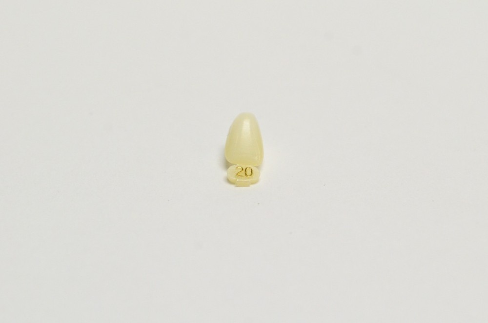 DENTAL POLYCARBONATE TEMPORARY CROWNS #20 (URL) UPPER RIGHT LATERAL 5/PACK