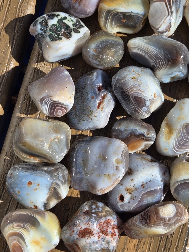 Botswana Agate Selects - POTENTIAL - Rough, Natural, Not Polished A+ Grade