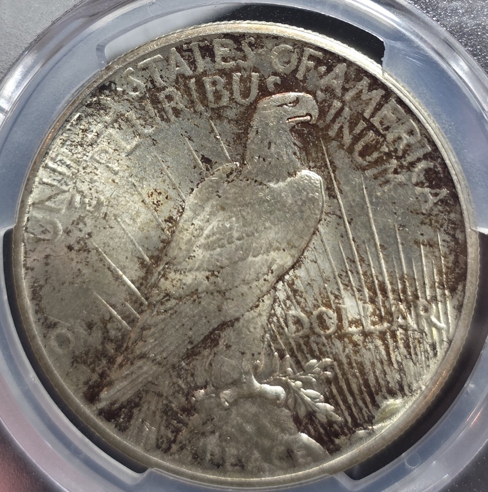 1925 PCGS MS64 Peace Silver Dollar - Toned
