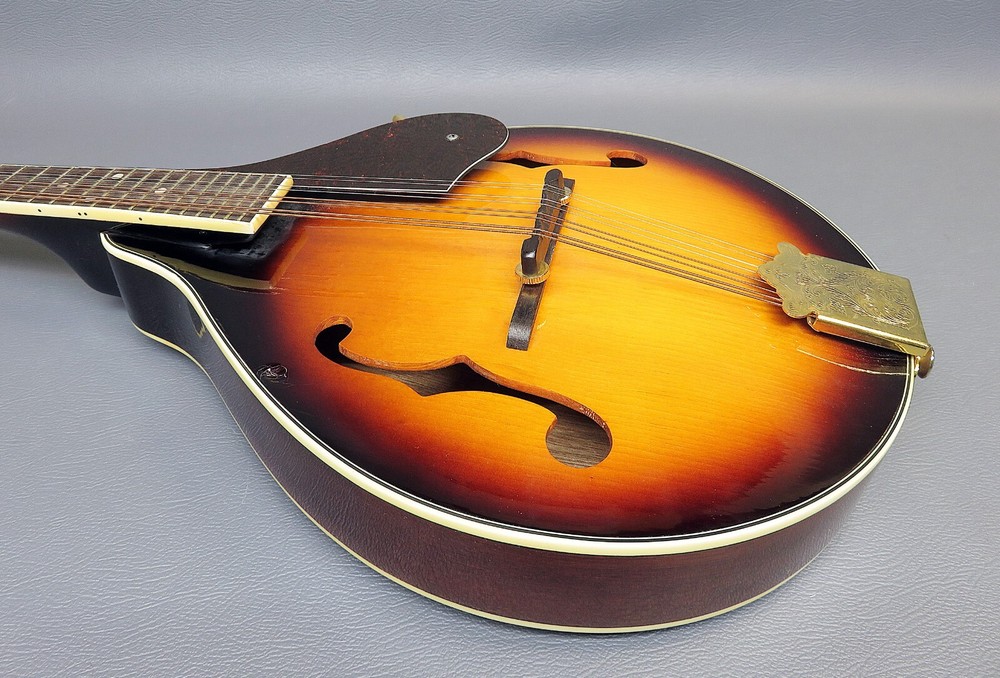 Mandolin Vester