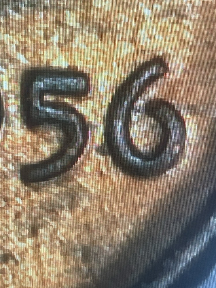 1956P AU Lincoln Wheat Cent
