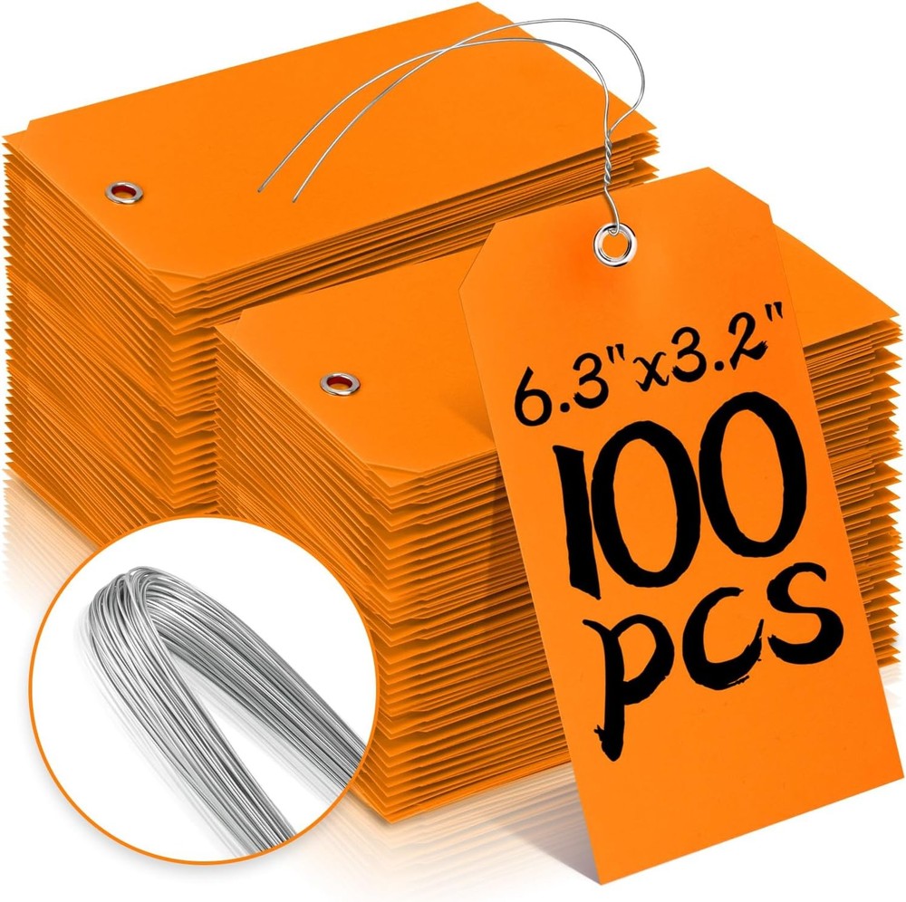 AmazonBasics 100pc Plastic Shipping Tags - BrieFcase Wires, Blank with Reinforce
