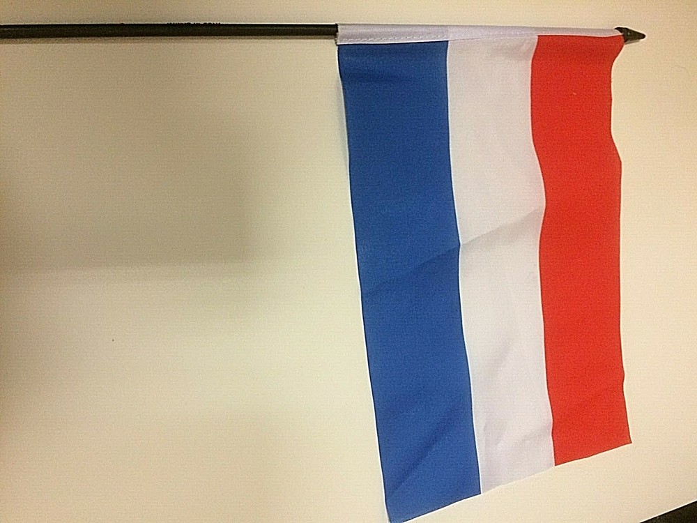 New 4" x 6" and 6" x 9" Hand Held Flags