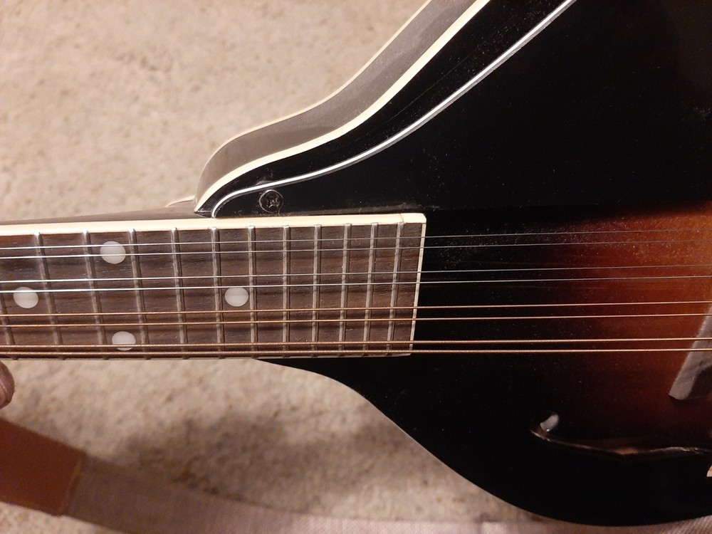 mandolins musical instrument used