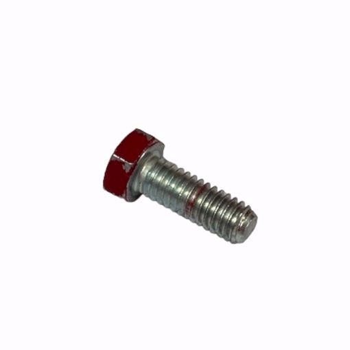 BELL & GOSSETT P10620 SCREW