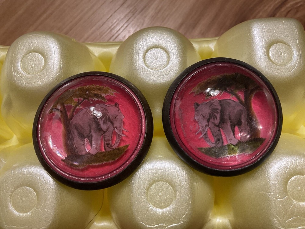 Horse Bridle Rosettes/ Buttons / Conchos