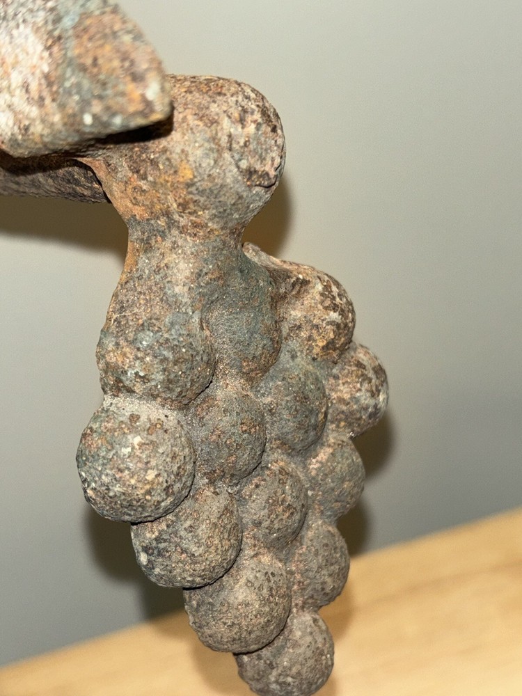 Antique Iron Grape Pattern Shutter Dog, Vineyard or Garden Spike