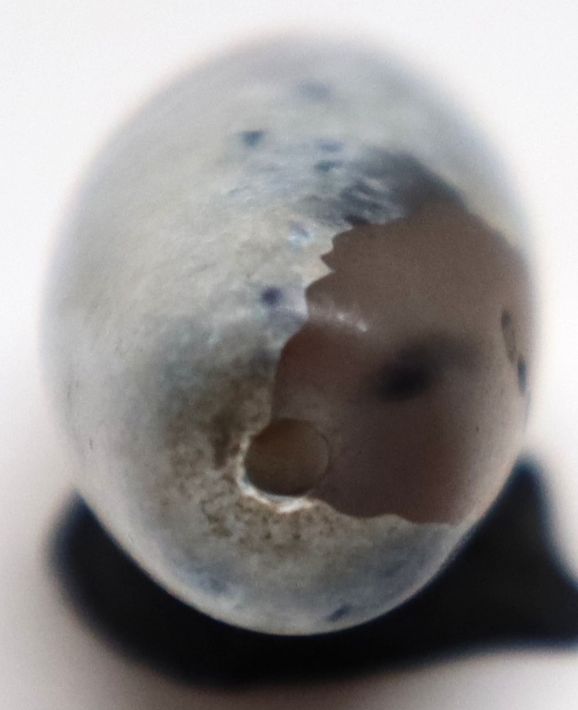 Genuine Ancient Old Bactrian Banded Agate Stone Bead over 2000 Year Old
