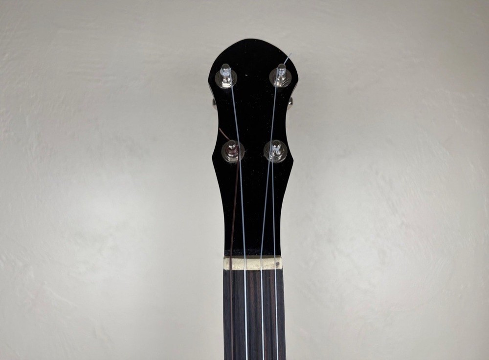 5-String Open-Back Banjo with Case in Excellent Condition, Nylon Strings