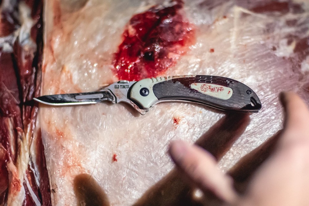 Old Timer Replaceable Blade Knife Kit with Interchangeable Scalpel Blades, Sa...