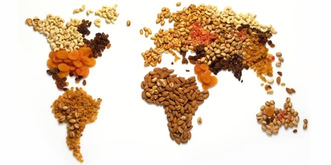 Dried Soybeans (Soynuts) Roasted Salted, 14 Oz., Kosher