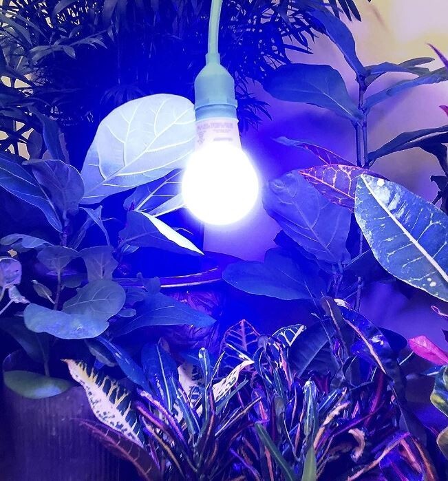 NEW 4 PACK! Miracle LED 6FT Single Socket Blue Indoor Grow String Light w/ Bulbs