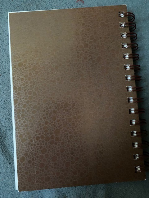 2sketch book &mixed media same picture