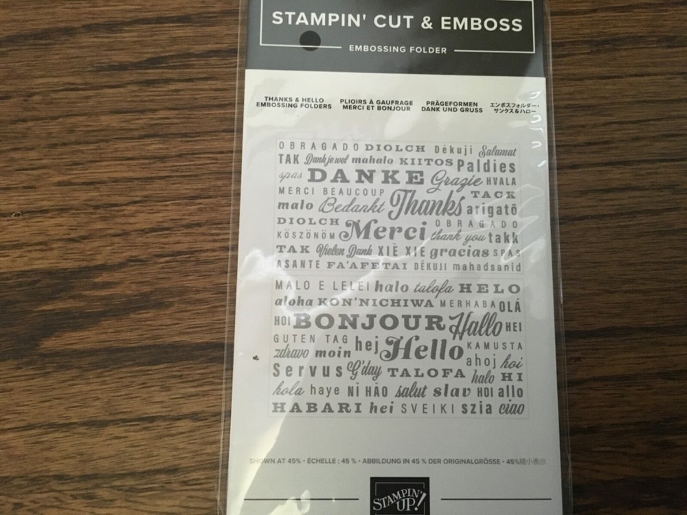 Stampin Up! Thanks & Hello Embossing Folder NIP