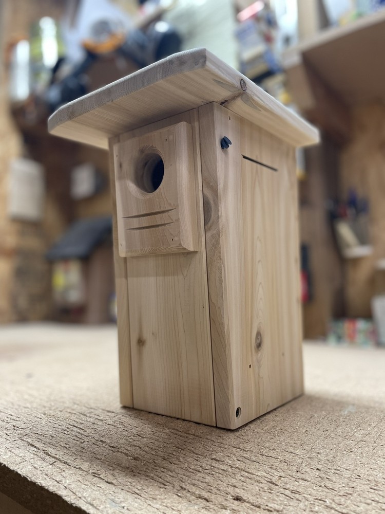 White cedar Bluebird nesting box