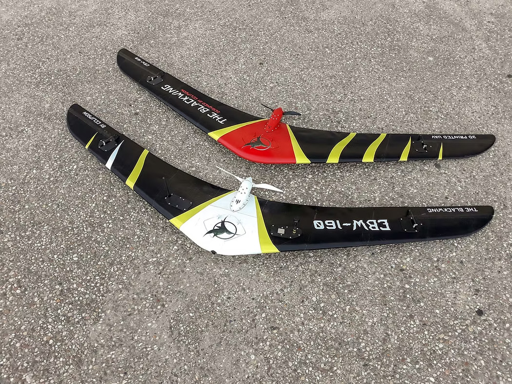 The Ravens Forge Eclipson UAV Blackwing 3D Printed PLA RC Airplane Kit