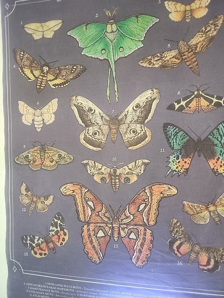 Butterfly and Moth Hanging Deco Wall Art