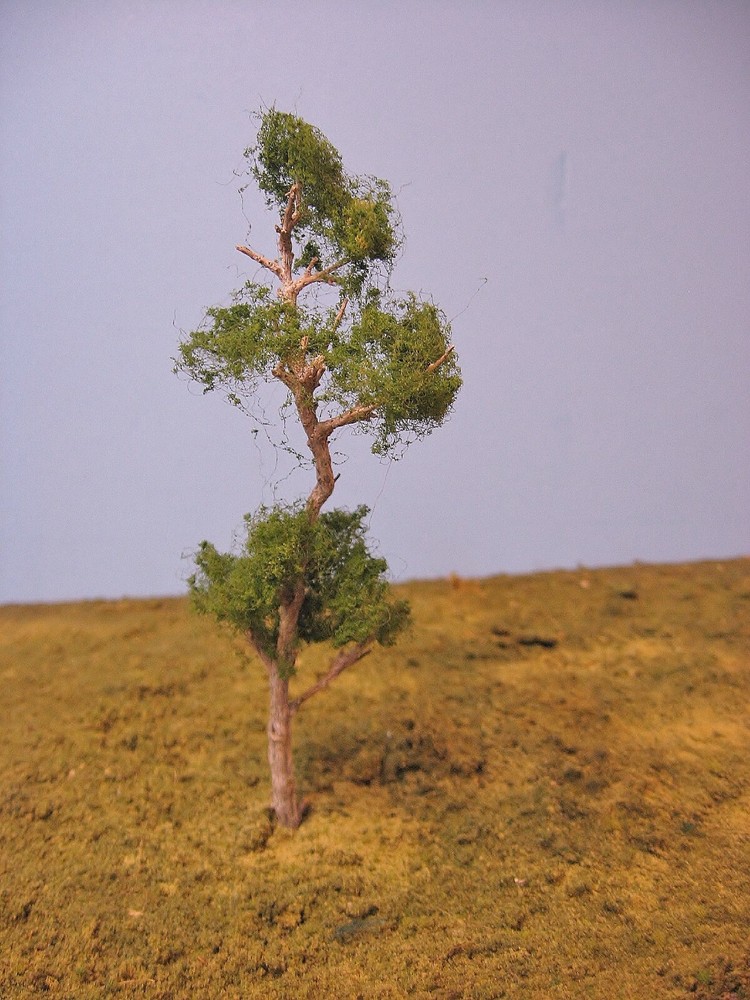 sage brush model trees