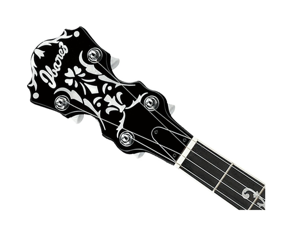Ibanez B300 5-String Banjo
