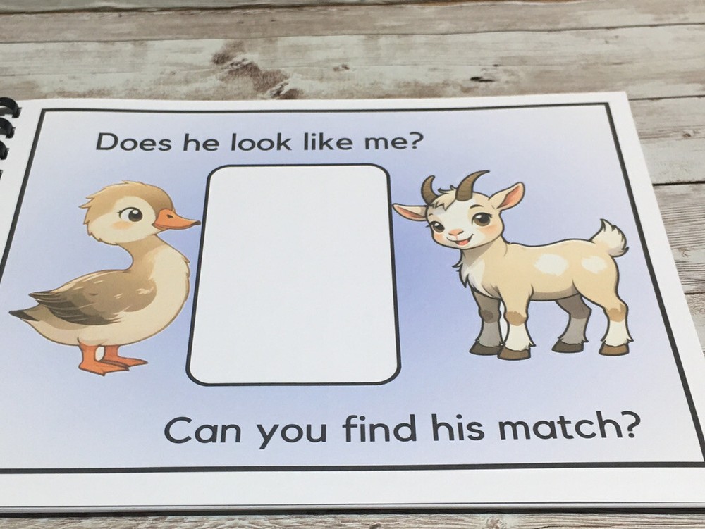 Interactive Learning Books for Children - Ducky’s Match